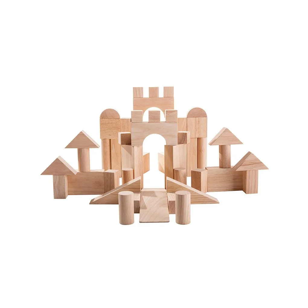 PlanToys 50 blocchi da costruzione
